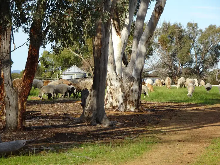 Second view of Homely rural property listing, Lot 4 Great Southern Highway, Popanyinning WA 6309