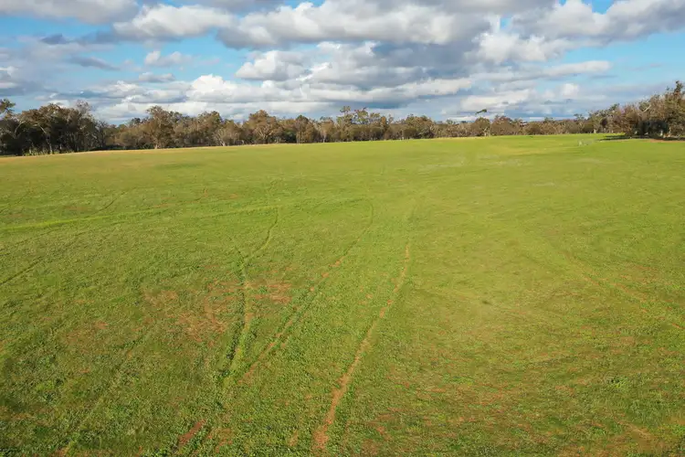 Seventh view of Homely rural property listing, Lot 4 Great Southern Highway, Popanyinning WA 6309