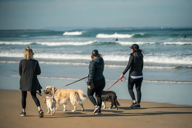 Fourth view of Homely land listing, Lot 107 Duneview Drive, Ocean Grove VIC 3226