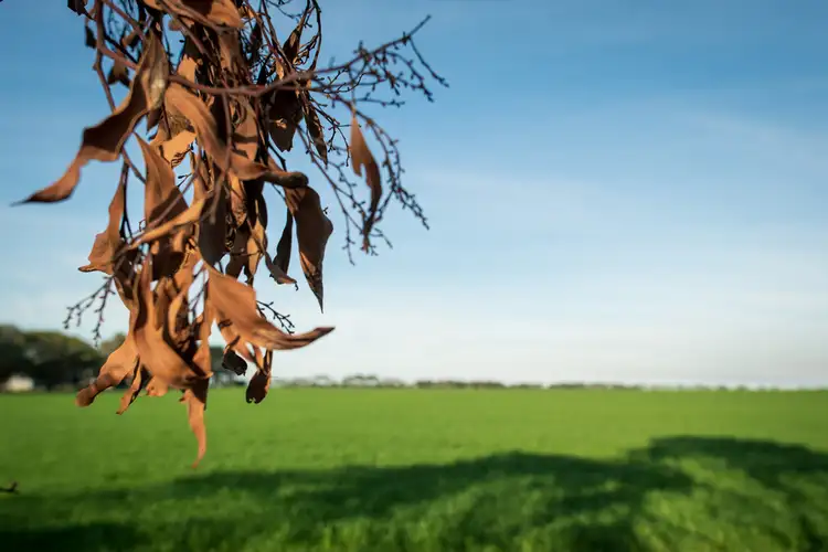 Second view of Homely land listing, Lot 110 Duneview Drive, Ocean Grove VIC 3226
