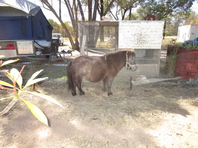 Second view of Homely rural property listing, 102 BLACKBURNS ROAD, Tara QLD 4421