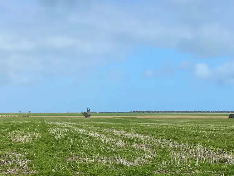 Third view of Homely rural property listing, 200 Padgetts Road, Wallinduc VIC 3351