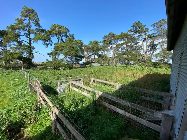 Seventh view of Homely rural property listing, 200 Padgetts Road, Wallinduc VIC 3351