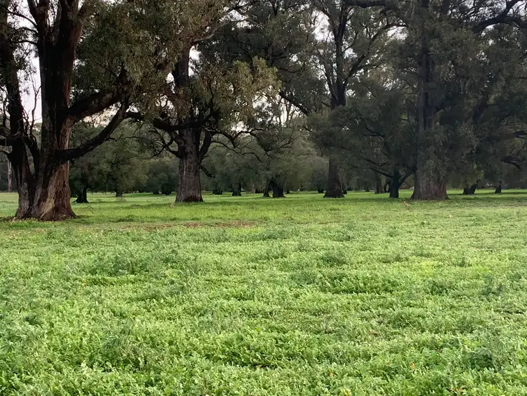 Fifth view of Homely rural property listing, Lot 210 Mallokup Road, Stirling Estate WA 6271