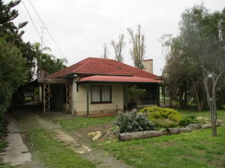 Main view of Homely house listing, 11 - 13 Peake Terrace, Coonalpyn SA 5265