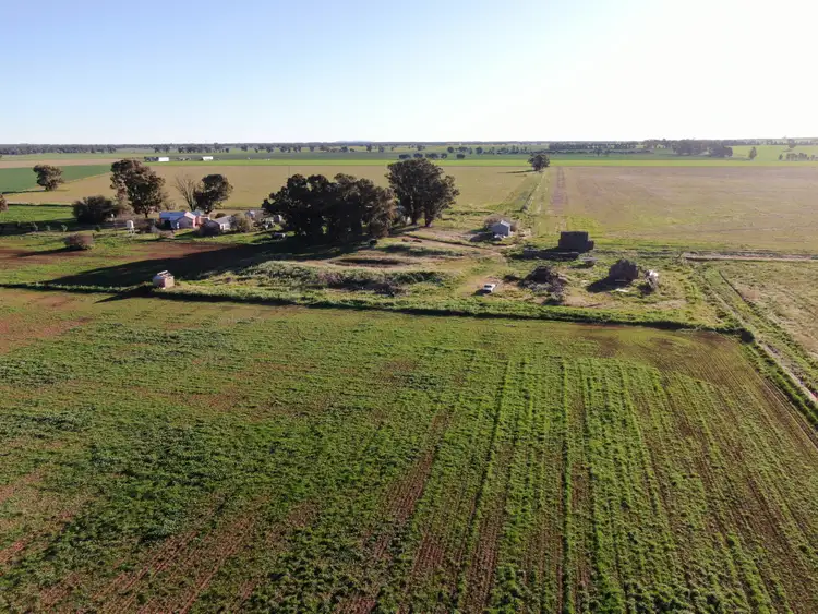 311 O'Sheas Road, Euberta NSW 2650