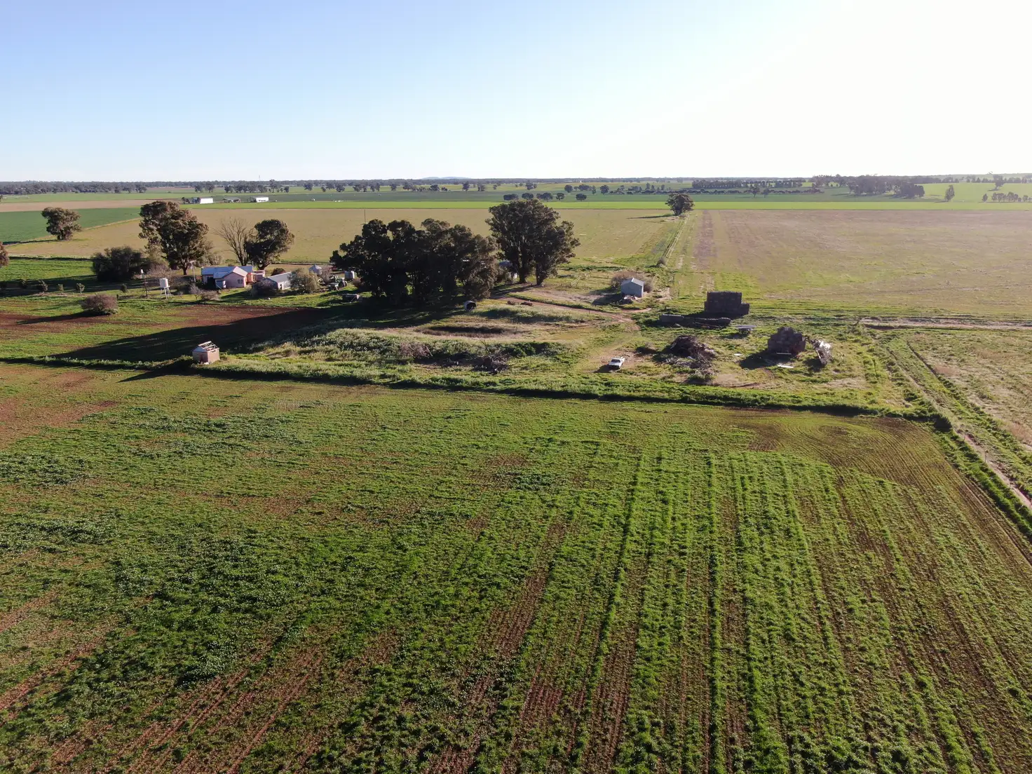 Main view of Homely rural property listing, 311 O'Sheas Road, Euberta NSW 2650