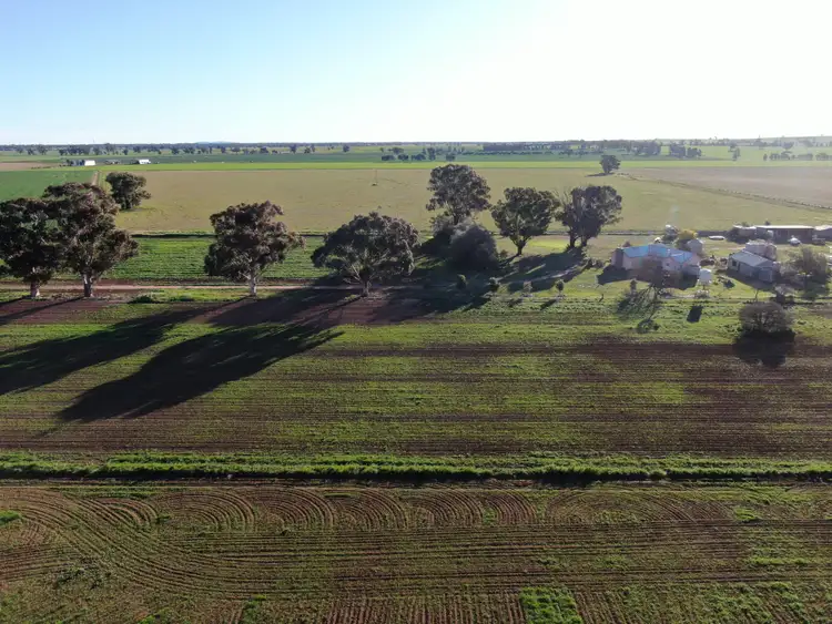 Second view of Homely rural property listing, 311 O'Sheas Road, Euberta NSW 2650