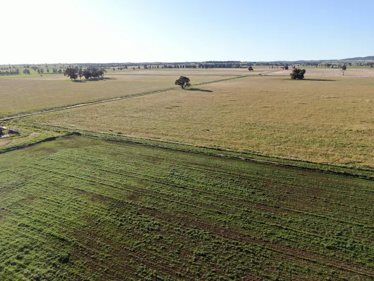 Third view of Homely rural property listing, 311 O'Sheas Road, Euberta NSW 2650