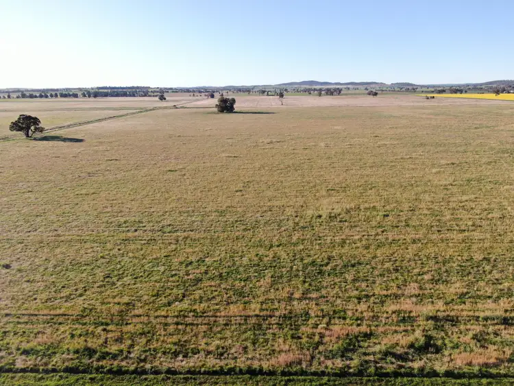 Fourth view of Homely rural property listing, 311 O'Sheas Road, Euberta NSW 2650