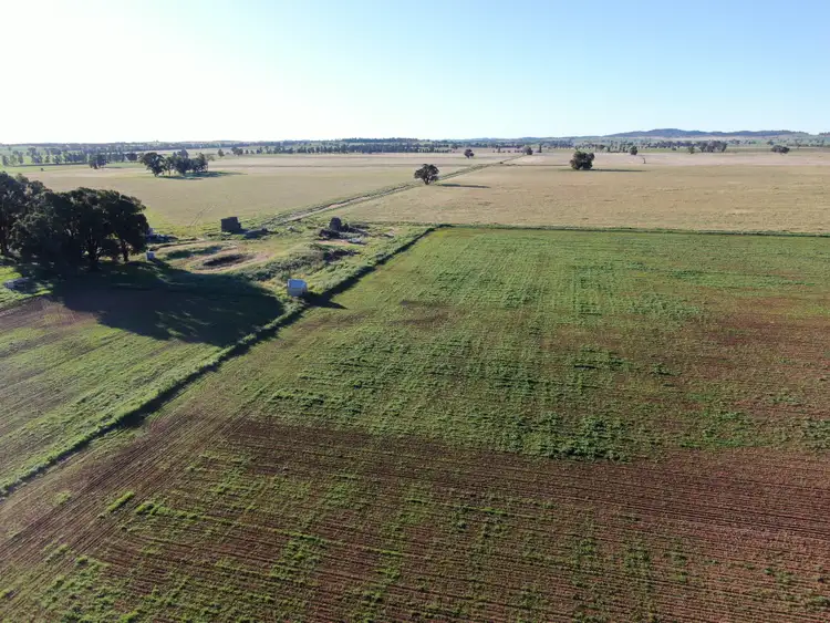 Fifth view of Homely rural property listing, 311 O'Sheas Road, Euberta NSW 2650