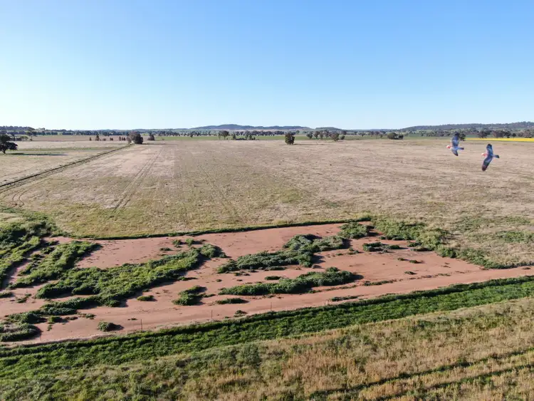 Seventh view of Homely rural property listing, 311 O'Sheas Road, Euberta NSW 2650