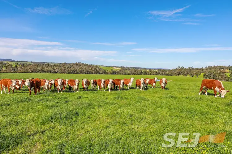 Fifth view of Homely rural property listing, 3524 Old Sale Road, Trafalgar VIC 3824