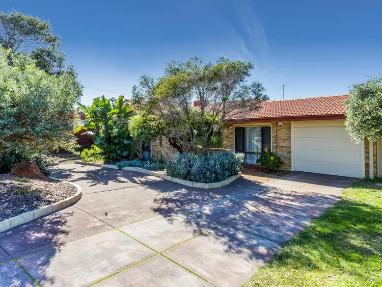 Main view of Homely house listing, 59 Petterson Avenue, Kardinya WA 6163