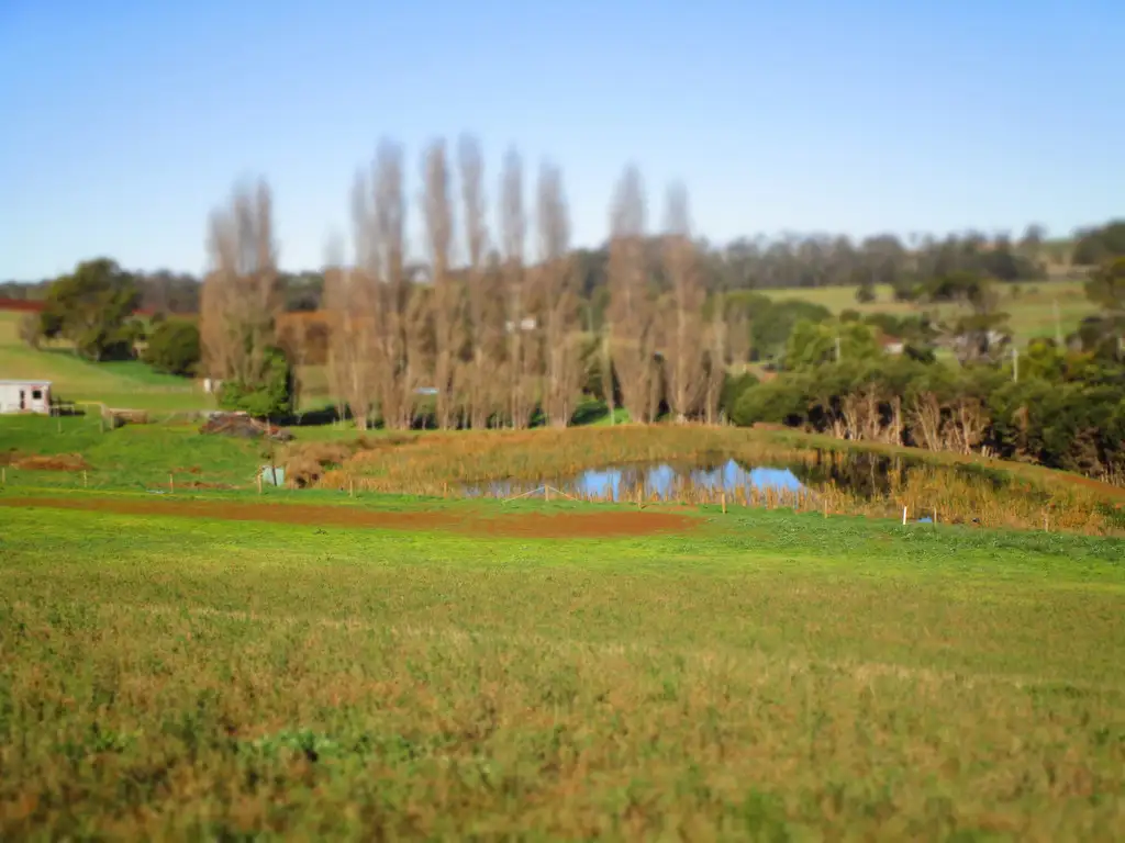 Main view of Homely rural property listing, 98a Torquay Road, East Devonport TAS 7310