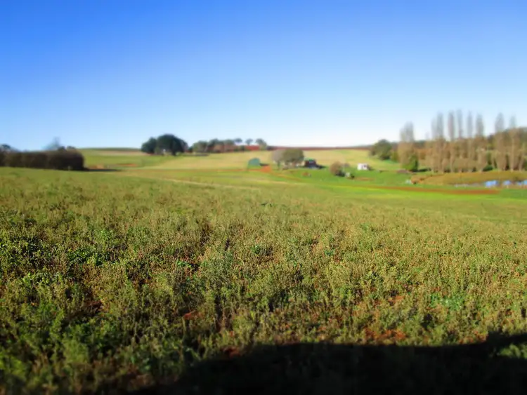 Sixth view of Homely rural property listing, 98a Torquay Road, East Devonport TAS 7310