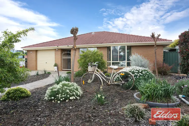 9 Selway Place, Evanston Park SA 5116