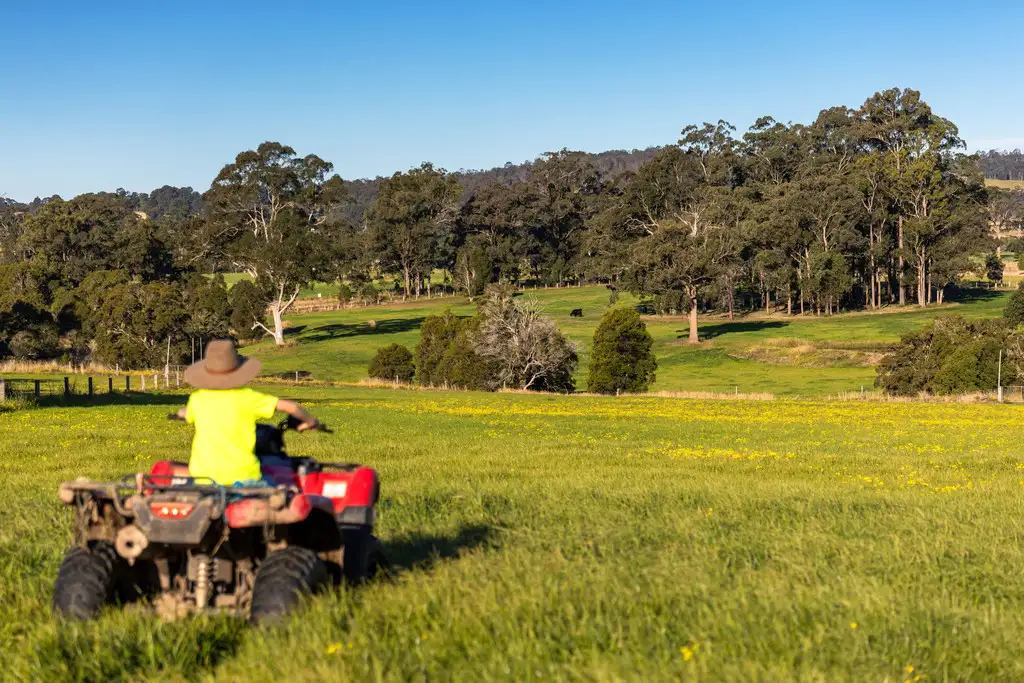 Main view of Homely rural property listing, 495 Comboyne Road, Wingham NSW 2429