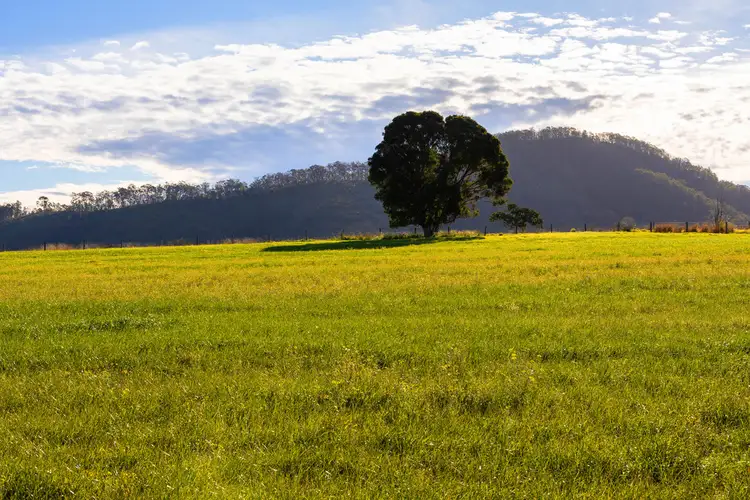 Second view of Homely rural property listing, 495 Comboyne Road, Wingham NSW 2429