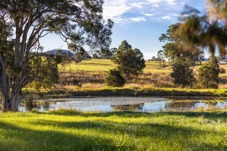 Third view of Homely rural property listing, 495 Comboyne Road, Wingham NSW 2429