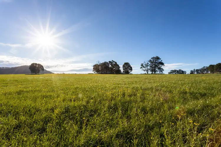 Seventh view of Homely rural property listing, 495 Comboyne Road, Wingham NSW 2429