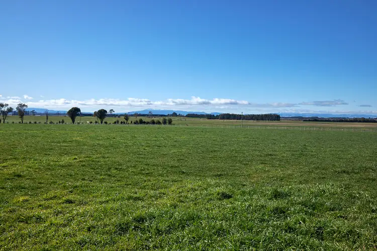 Fifth view of Homely rural property listing, 1181 Whitemore Road, Whitemore TAS 7303