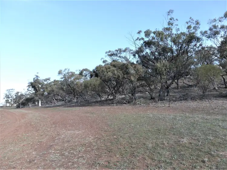 Fifth view of Homely rural property listing, 271 Lawler Rd, Northam WA 6401