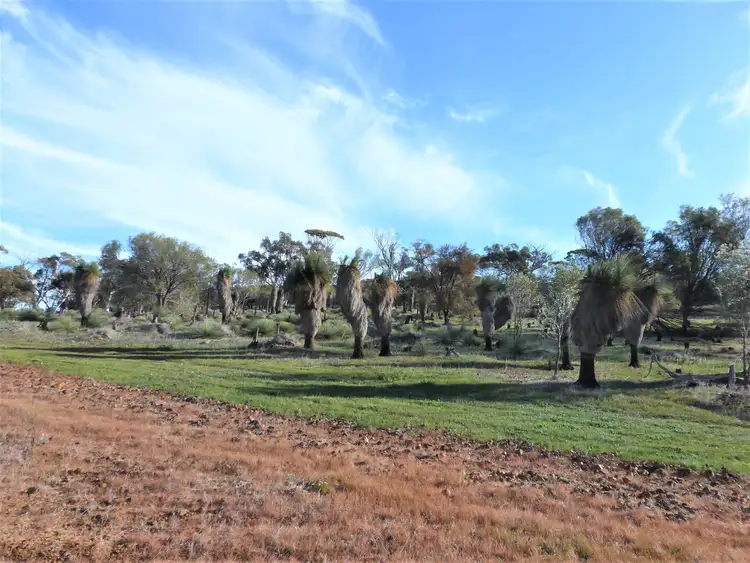Seventh view of Homely rural property listing, 271 Lawler Rd, Northam WA 6401
