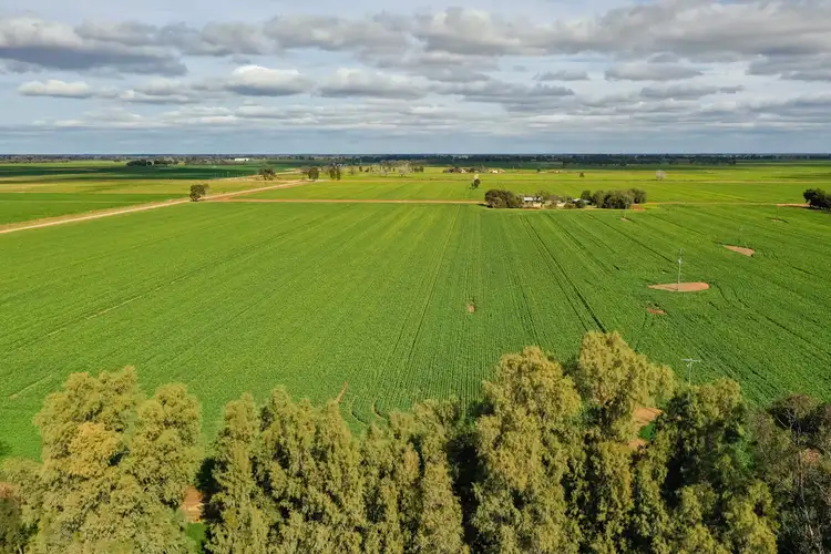 Sixth view of Homely rural property listing, Address available on request