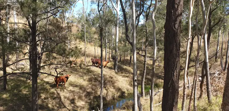 Main view of Homely land listing, LOT Lot, 3 Nellers Road, New Moonta QLD 4671