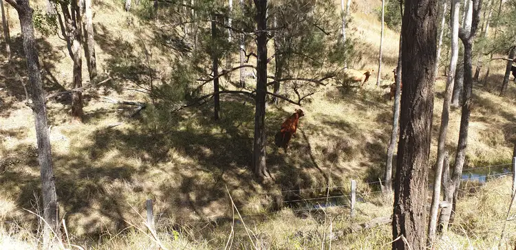 Fifth view of Homely land listing, LOT Lot, 3 Nellers Road, New Moonta QLD 4671