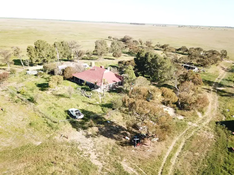 Main view of Homely rural property listing, 199 Trowbridge Road, Lameroo SA 5302