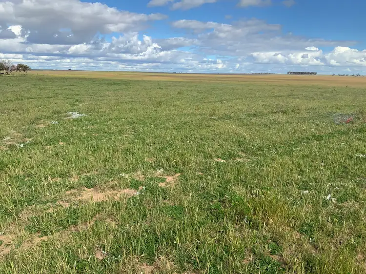 Fourth view of Homely rural property listing, 199 Trowbridge Road, Lameroo SA 5302