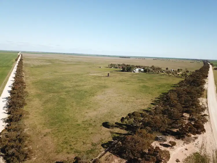 Seventh view of Homely rural property listing, 199 Trowbridge Road, Lameroo SA 5302