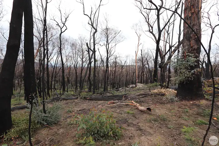 Seventh view of Homely land listing, 338F Elliott Way, Maragle NSW 2653