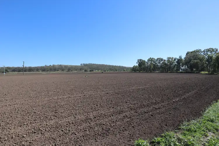 Fourth view of Homely rural property listing, 1228 Woodlands Road, Glen Cairn QLD 4342