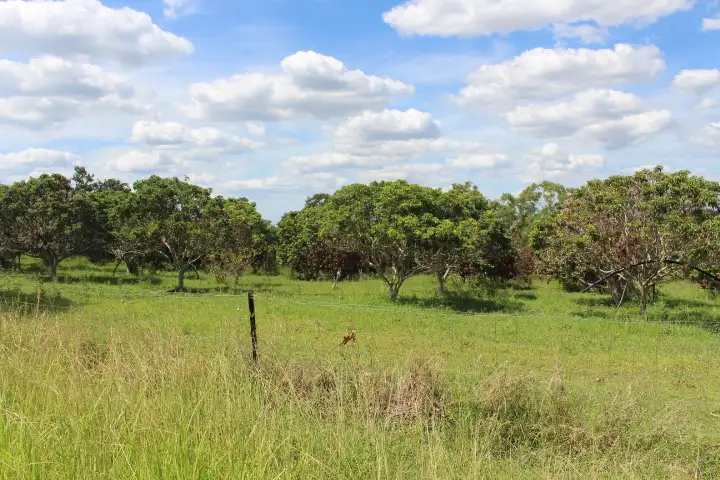 218 Mcilwraith Rd, Gin Gin QLD 4671