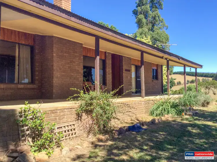 313 Carabost Rd, Tumbarumba NSW 2653