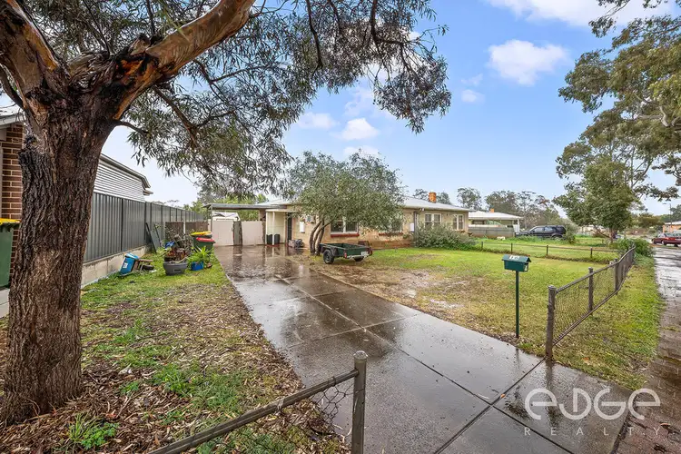 16 Burdell Street, Elizabeth Downs SA 5113