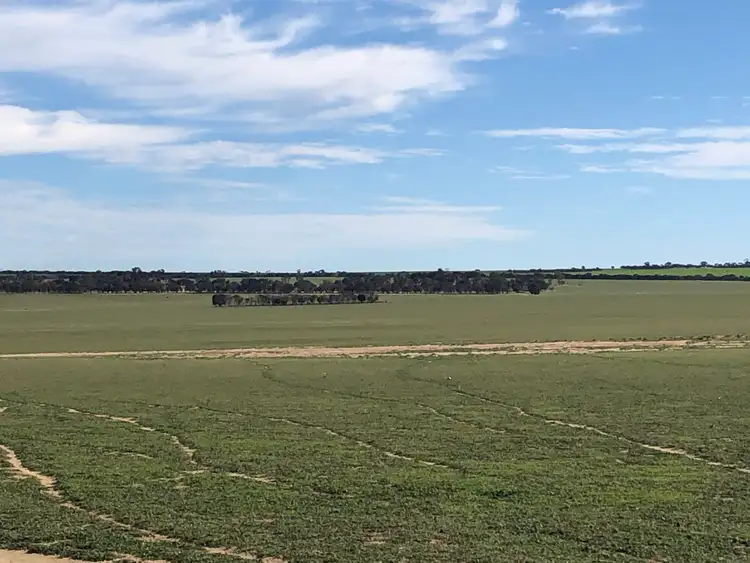 Fourth view of Homely rural property listing, 596 Mulcahy Road, Hyden WA 6359