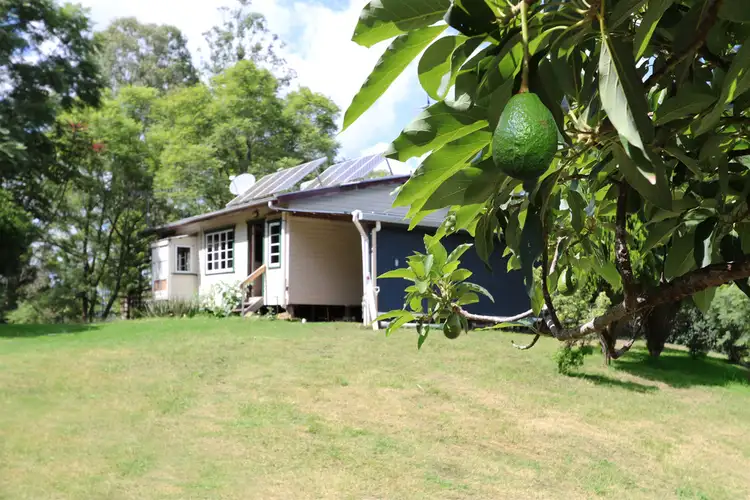 Third view of Homely rural property listing, 1064 Roseberry Creek Road, Roseberry Creek NSW 2474
