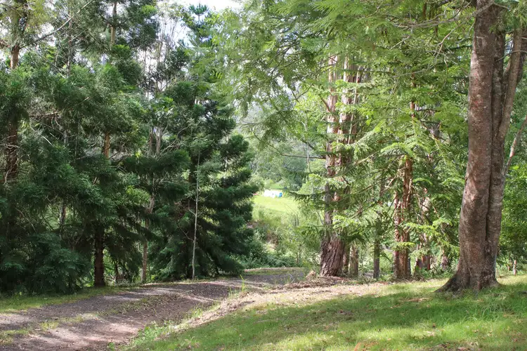 Fifth view of Homely rural property listing, 1064 Roseberry Creek Road, Roseberry Creek NSW 2474