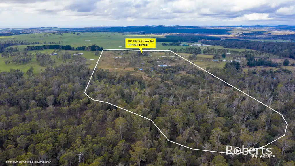 Main view of Homely house listing, 291 Back Creek Road, Pipers River TAS 7252