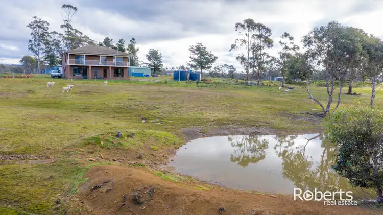 Second view of Homely house listing, 291 Back Creek Road, Pipers River TAS 7252