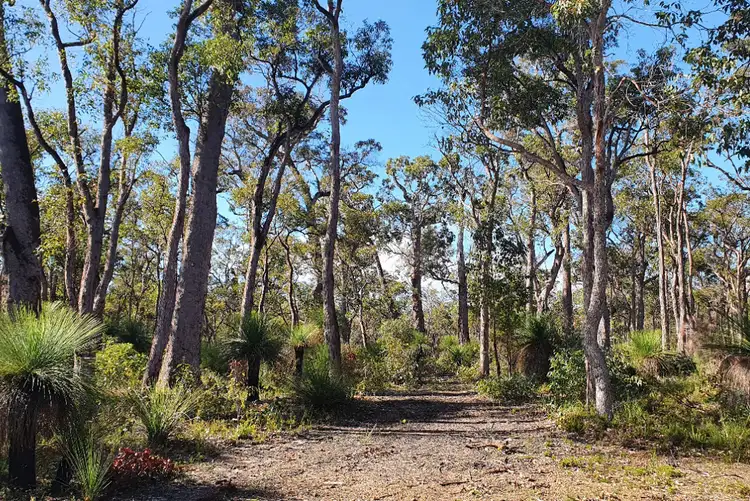 Main view of Homely land listing, 109A Blackbutt Close, Yallingup Siding WA 6282