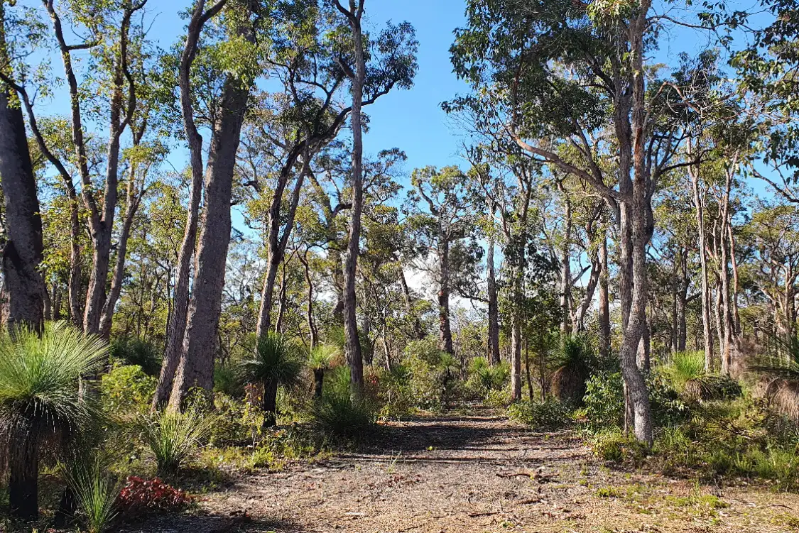 Main view of Homely land listing, 109A Blackbutt Close, Yallingup Siding WA 6282
