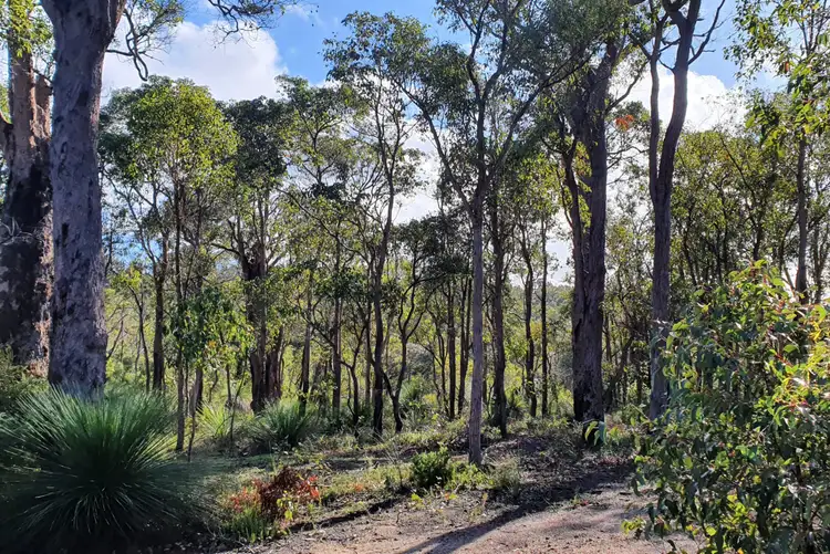 Fourth view of Homely land listing, 109A Blackbutt Close, Yallingup Siding WA 6282