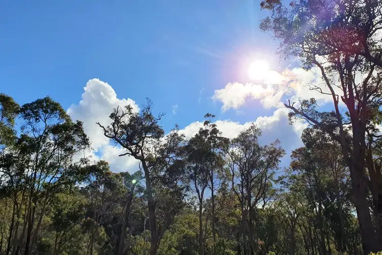 Seventh view of Homely land listing, 109A Blackbutt Close, Yallingup Siding WA 6282
