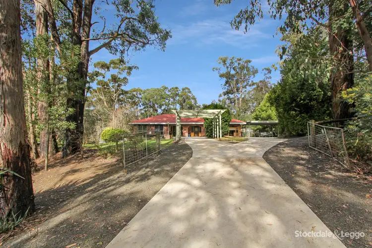 Main view of Homely rural property listing, 162 Darlimurla Road, Mirboo North VIC 3871