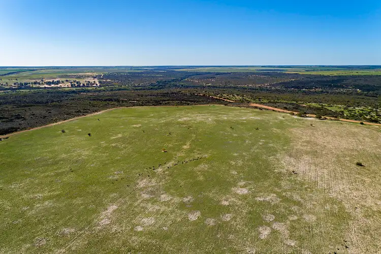 Seventh view of Homely rural property listing, 2704 Ogilvie West Road, Yallabatharra WA 6535